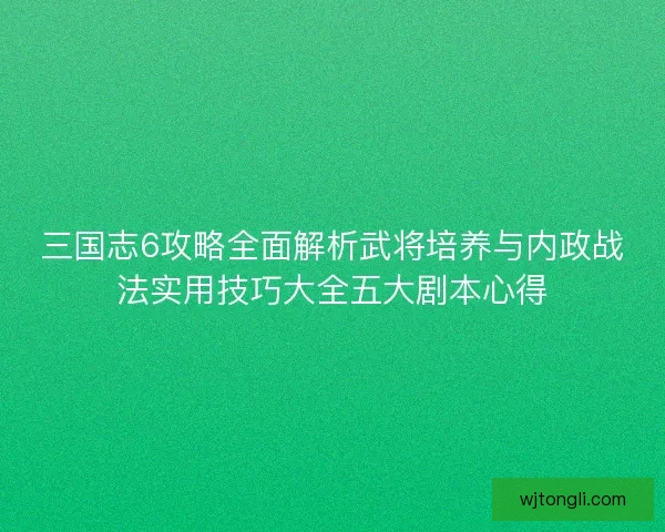 三国志6攻略全面解析武将培养与内政战法实用技巧大全五大剧本心得
